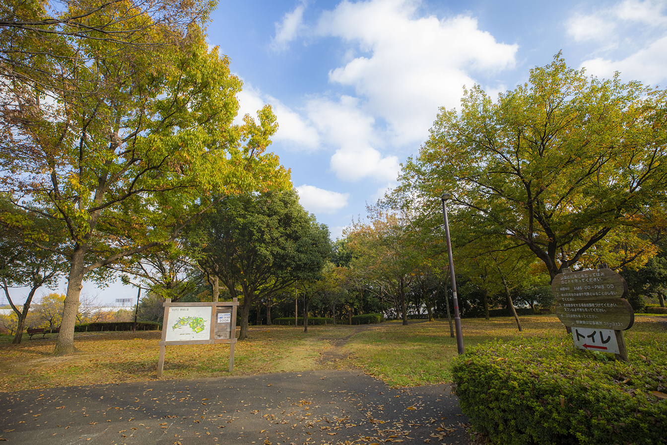 野津田公園です。お昼休みのお散歩にちょうどいいです。