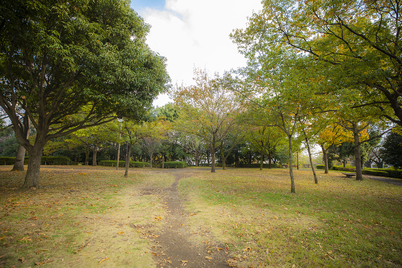 野津田公園です。自然があふれています