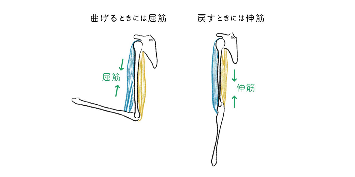 脳性麻痺治療 | OSSCS手術後のフォロー | 一般財団法人ひふみ会 まちだ